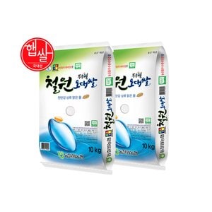 롯데상사 [동철원농협] 강원도 철원 오대쌀 20kg/상등급/당일도정/23년산