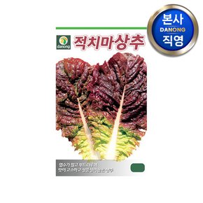 홍빛 적치마 상추 씨앗 6g . 채소 야채 텃밭 파종 재배 주말 농장 씨 종자