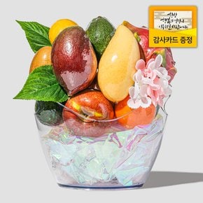 [산지직송] 와인버킷 과일 바구니 선물세트 소형 (9종 11입) 3.1kg (보자기 포장)