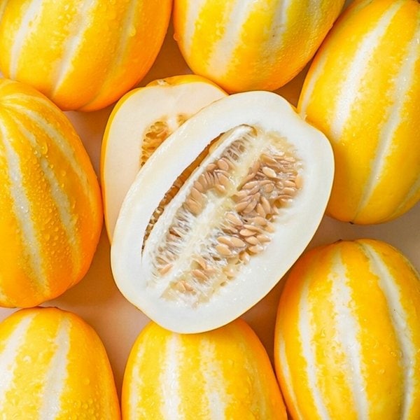 꿀당도 국내산 꿀 참외 10kg (혼합과)