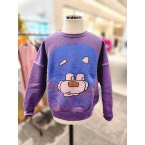 C)AMAZING SWEATSHIRT (FD43-954)