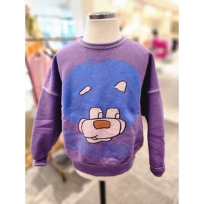 C)AMAZING SWEATSHIRT (FD43-954)