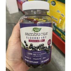 네이쳐스웨이 삼부커스 엘더베리 Natures Way Sambucus Elderberry Herbal 120구미