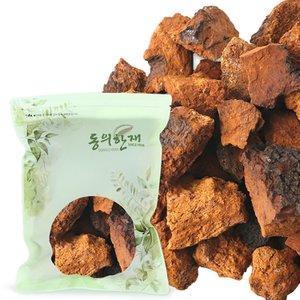 동의한재 최상품 햇 시베리아 러시아 차가버섯 원물 3kg