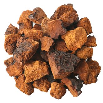 동의한재 최상품 햇 시베리아 러시아 차가버섯 원물 3kg