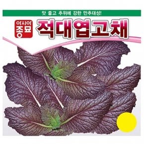 겨자씨앗종자 적대엽고채 (120g) 적겨자 전문농가용