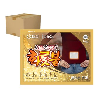 온종일화롯불 온종일 화롯불 핫팩 파스 부착형 40g X 10개