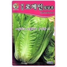  2025 씨앗 제일 로메인 양상추 (WFGUM1D)
