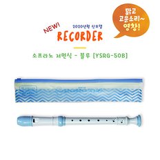 HDC 영창 교육용악기 리코더 YSRG-50B 블루