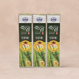 죽염 잇몸고 치약120gx3개