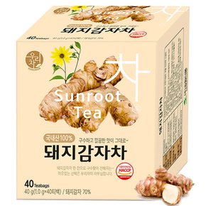 돼지감자차 40T /국내산감자/뿌리차/침출차/티백