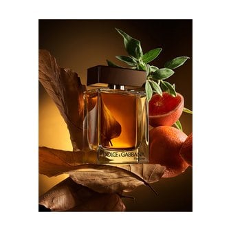 돌체앤가바나 더 원 뿌르옴므 오 드 퍼퓸 100ml CB15911010300