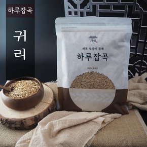 1893 하루잡곡 국내산 귀리 500g