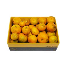 삼다몰 제주 못난이 신비향(수라향) 3kg