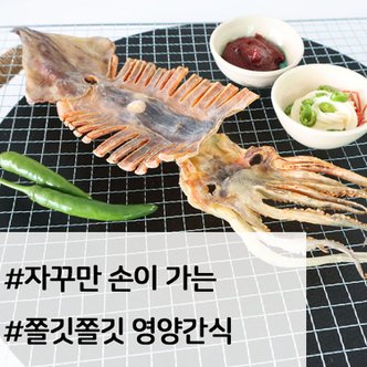  구룡포 마른오징어 5미 375g 원양 건조 말린 오징어 국내산  포항