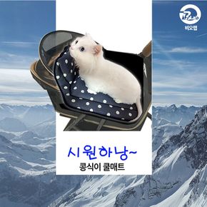 비오랩 강아지 고양이 쿨매트 방석 콩식이쿨링방석