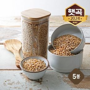 국내산 강진 쌀귀리 5kg (1kgX5봉)[34397042]