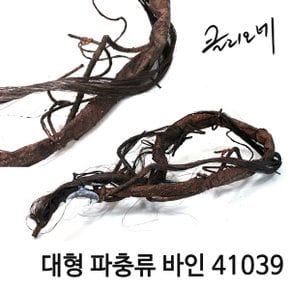 클리오네 대형 파충류 바인 41039/파충류 용품