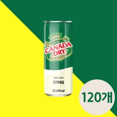 코카콜라 캐나다드라이 진저에일 250ml x 120 토닉워터 탄산음료 탄산음료수 진저에일파는곳 청량음료