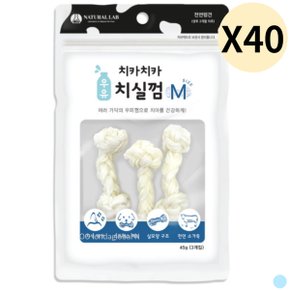 네츄럴랩 강아지 간식 치카치카 우유 치실껌 M X40