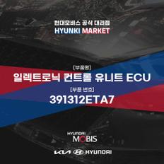 일렉트로닉 컨트롤 유니트 ECU (391312ETA7)