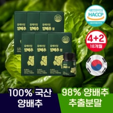 국산 양배추정 캐비지 양배추환 분말 비타민U 효능 90정 4+2개 18개월분