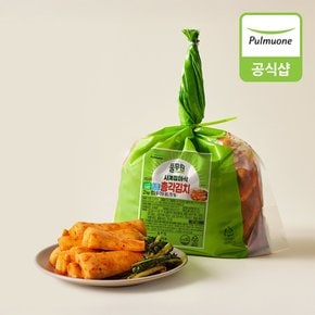 [생산직송] 한입가득 사계절 아삭 총각김치 2kg