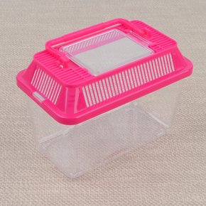 곤충 채집통 미니 곤충관찰 사육장 미니어항