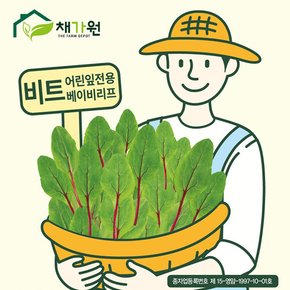 새싹씨앗종자 비트싹 (500g) 새싹채소 어린잎 베이비채소