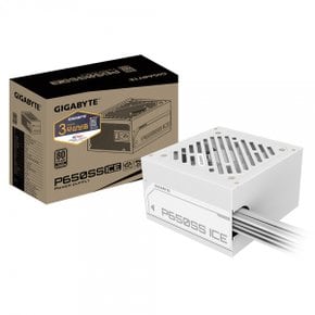 P650SS ICE 80PLUS실버 FDB ATX3.0 피씨디렉트