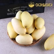 [9/10 오전9시까지 주문시 명절전배송][이과일이다] 필리핀 카라바오 생망고 3kg 9~13과 선물세트