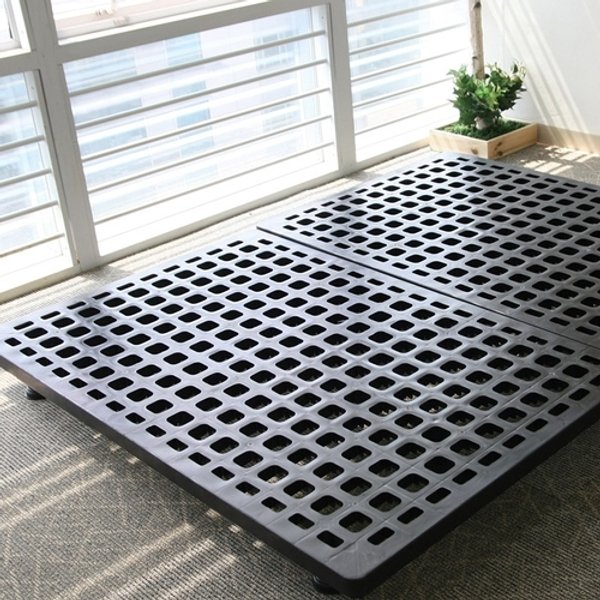 확대된 대표 image1