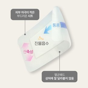 밴드닥터 드레싱밴드 M 중형 6매입 멸균저자극밴드