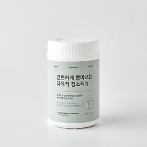 N 뽑아쓰는 다용도 세정티슈 100매