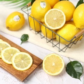 팬시레몬 30입 (개당140g/총4kg내외)