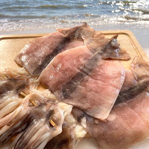  바다어보 국산 반건조오징어 10마리(왕특) / 동해안 반건오징어