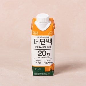 빙그레 빙)더단백 드링크 카라멜 250ml