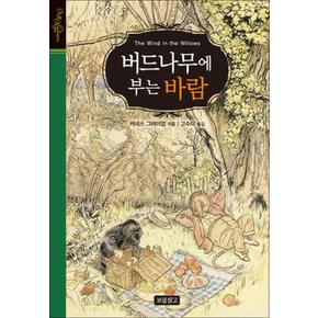 버드나무에 부는 바람 (올에이지 클래식) (양장)