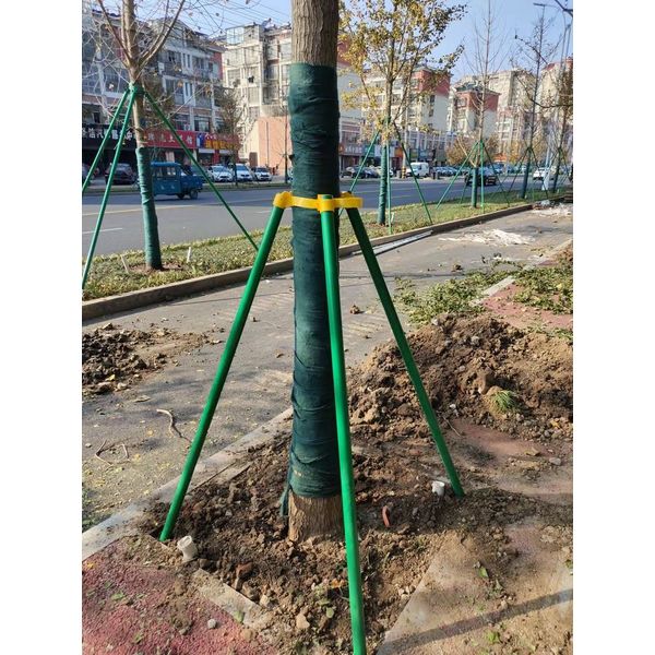 확대된 대표 상품이미지1