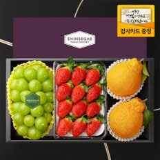 [1/13일 순차출고][산지직송] 씨에스타10호 샤인머스캣(650g) 1입 + 금실딸기 350g + 애플망고(400g) 2입 과일선물세트