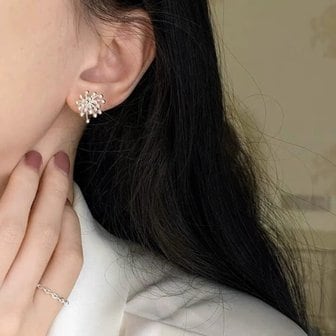  [옷자락] 여자 스노우 스파클 실버 볼 디테일 귀걸이