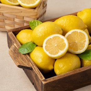 미국산 레몬 900g (8~10입/봉)