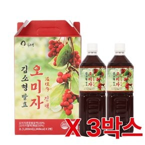 김소형 발효 오미자진액 1,000ml x 2병 3박스