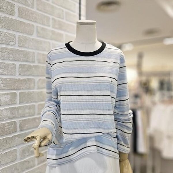 확대된 대표 image1