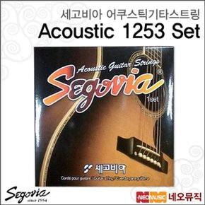 세고비아 어쿠스틱 기타 스트링 Segovia 1253 SET