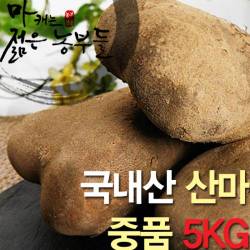 [부용농산]경북 안동 산마(중품) 5kg - SSG.COM