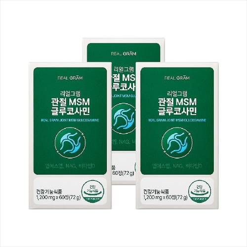 이미지 G
