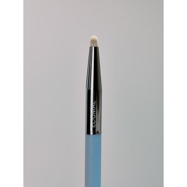 이지 브러쉬 에이에이 파인 아이 01