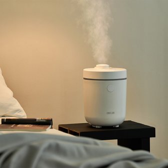 디디오랩 스텐가열식가습기 DHF-L55SW (25년형)