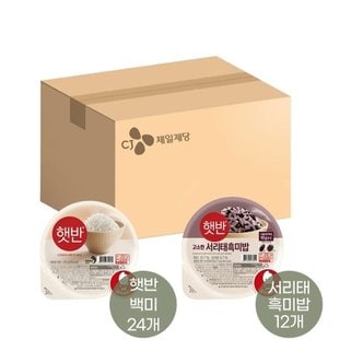  햇반 210g x24개+서리태 흑미밥 210g x12개